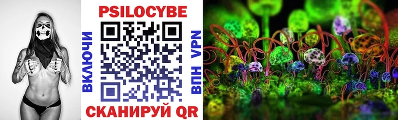 Псилоцибиновые грибы MAGIC MUSHROOMS  хочу наркоту  Балашов 